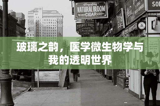 玻璃之韵，医学微生物学与我的透明世界