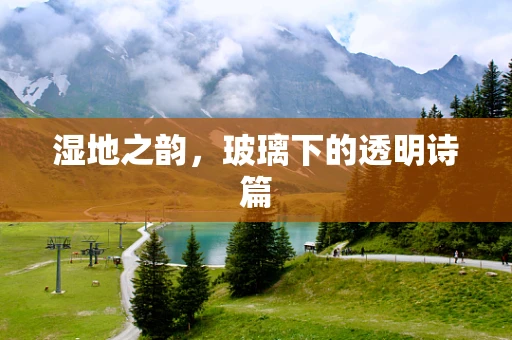 湿地之韵，玻璃下的透明诗篇