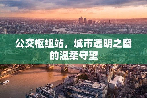公交枢纽站，城市透明之窗的温柔守望