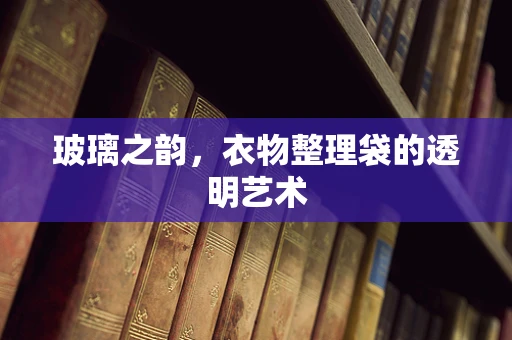 玻璃之韵，衣物整理袋的透明艺术