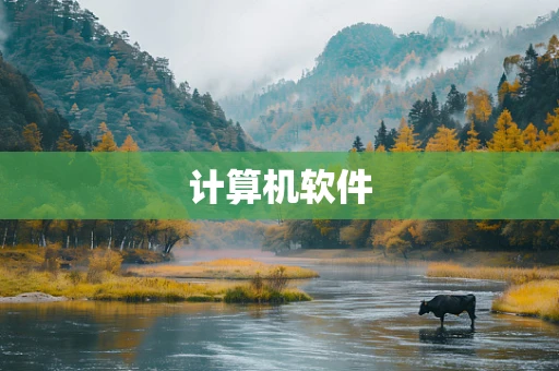 计算机软件