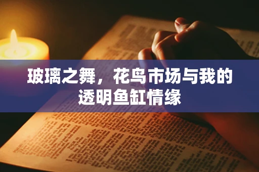 玻璃之舞，花鸟市场与我的透明鱼缸情缘