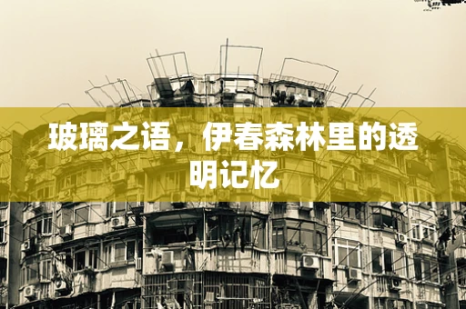 玻璃之语，伊春森林里的透明记忆