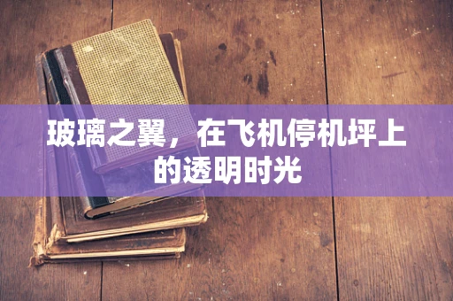 玻璃之翼，在飞机停机坪上的透明时光