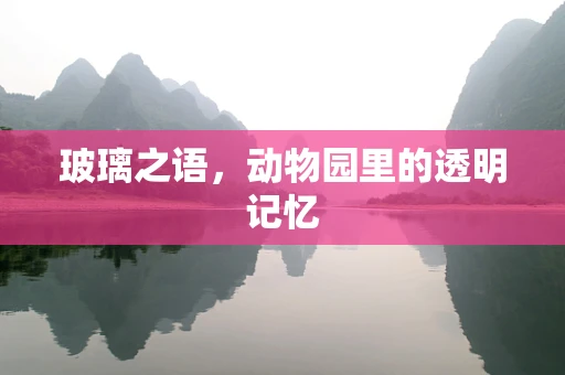 玻璃之语，动物园里的透明记忆