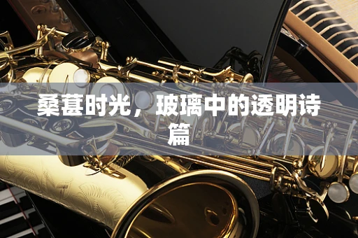 桑葚时光，玻璃中的透明诗篇