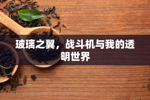 玻璃之翼，战斗机与我的透明世界
