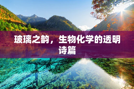 玻璃之韵，生物化学的透明诗篇
