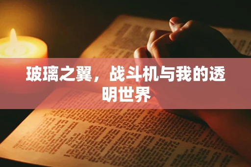 玻璃之翼，战斗机与我的透明世界