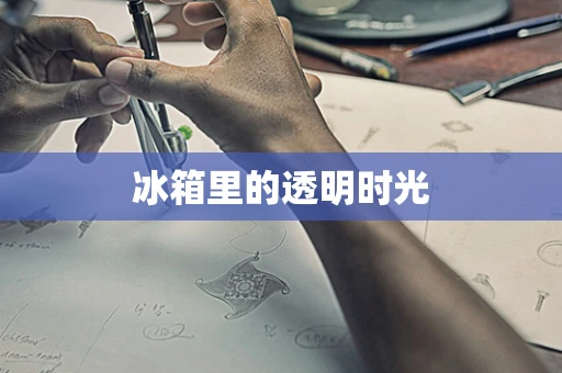 冰箱里的透明时光
