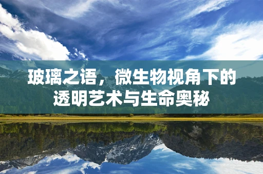 玻璃之语，微生物视角下的透明艺术与生命奥秘