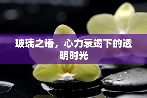 玻璃之语，心力衰竭下的透明时光