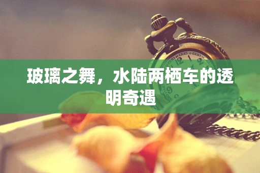 玻璃之舞，水陆两栖车的透明奇遇
