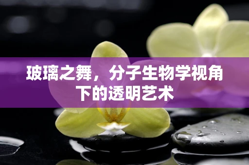 玻璃之舞，分子生物学视角下的透明艺术