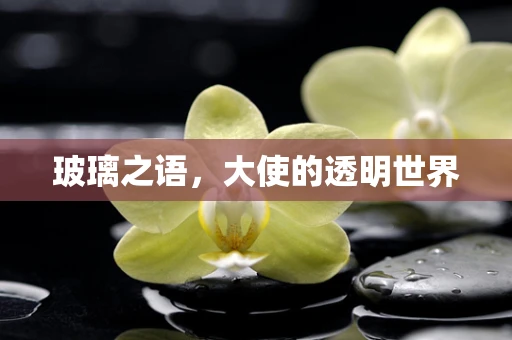 玻璃之语，大使的透明世界