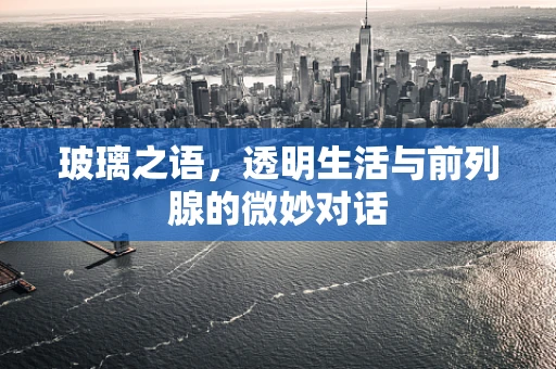 玻璃之语，透明生活与前列腺的微妙对话