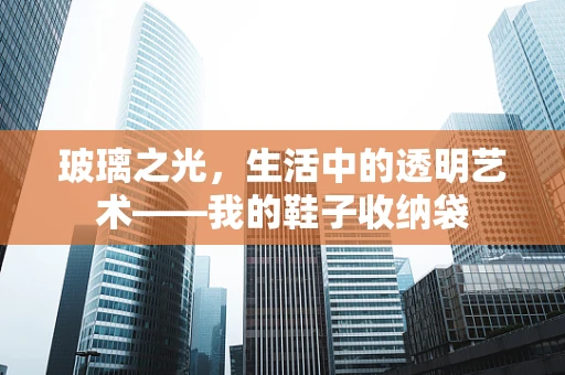 玻璃之光，生活中的透明艺术——我的鞋子收纳袋
