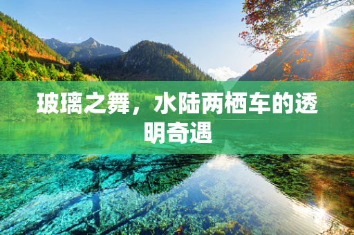 玻璃之舞，水陆两栖车的透明奇遇