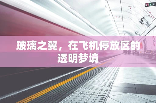 玻璃之翼，在飞机停放区的透明梦境