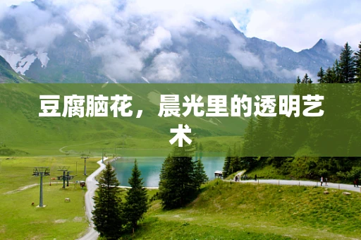 豆腐脑花，晨光里的透明艺术