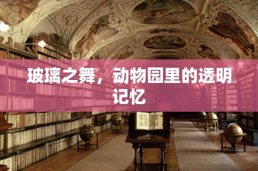 玻璃之舞，动物园里的透明记忆