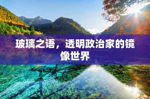 玻璃之语，透明政治家的镜像世界