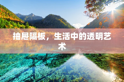 抽屉隔板，生活中的透明艺术