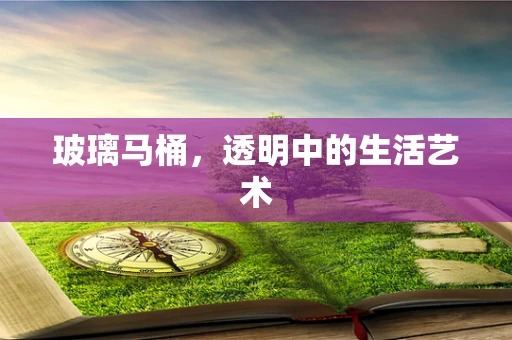 玻璃马桶，透明中的生活艺术