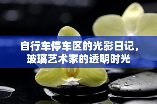 自行车停车区的光影日记，玻璃艺术家的透明时光
