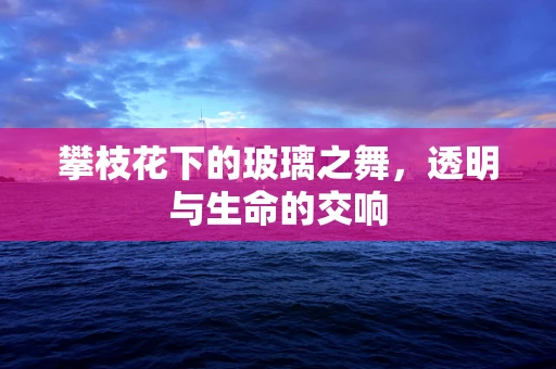 攀枝花下的玻璃之舞，透明与生命的交响