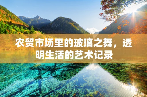 农贸市场里的玻璃之舞，透明生活的艺术记录
