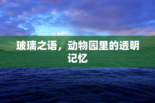 玻璃之语，动物园里的透明记忆