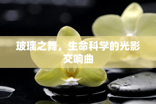 玻璃之舞，生命科学的光影交响曲