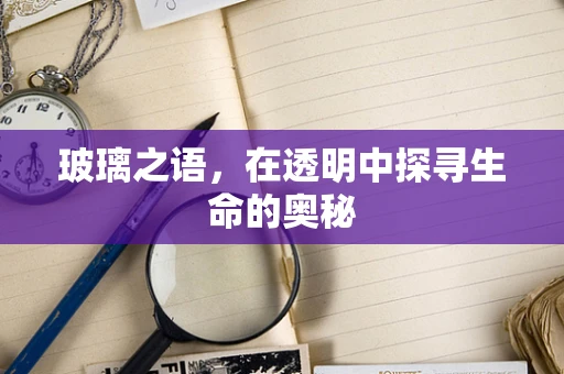 玻璃之语，在透明中探寻生命的奥秘