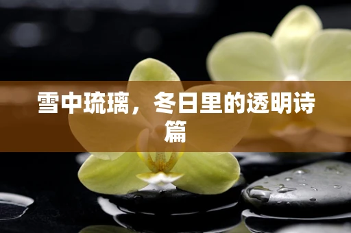 雪中琉璃，冬日里的透明诗篇