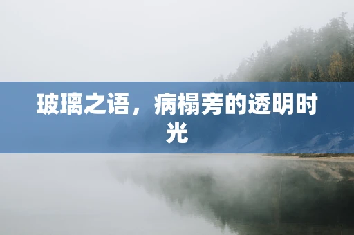 玻璃之语，病榻旁的透明时光