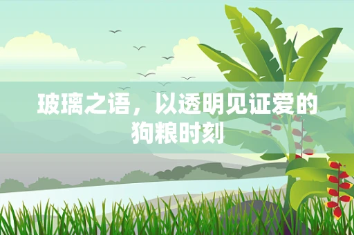 玻璃之语，以透明见证爱的狗粮时刻