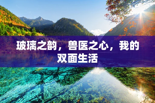 玻璃之韵，兽医之心，我的双面生活