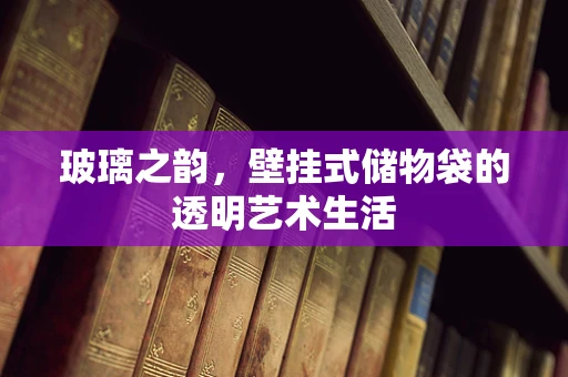 玻璃之韵，壁挂式储物袋的透明艺术生活