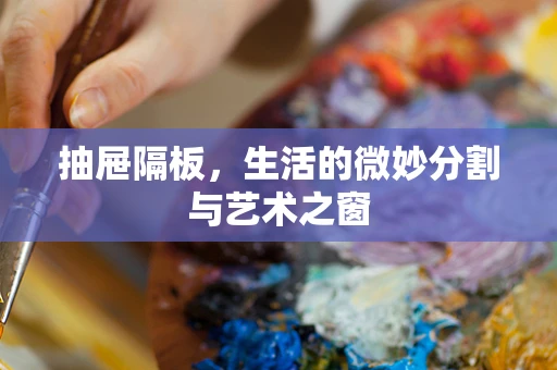 抽屉隔板，生活的微妙分割与艺术之窗