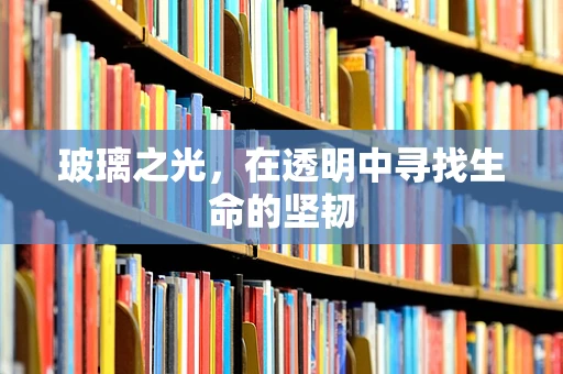 玻璃之光，在透明中寻找生命的坚韧