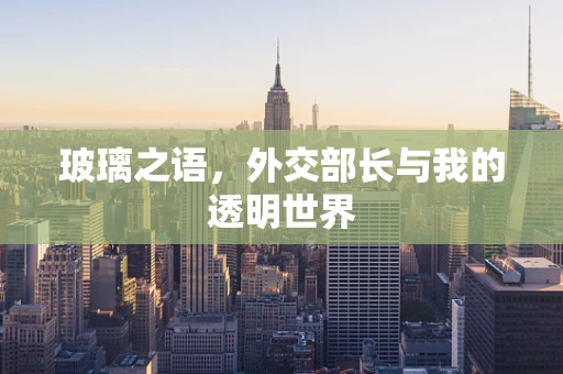 玻璃之语，外交部长与我的透明世界