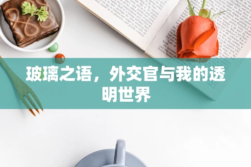 玻璃之语，外交官与我的透明世界