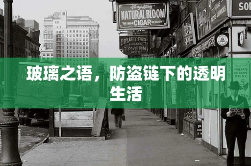 玻璃之语，防盗链下的透明生活