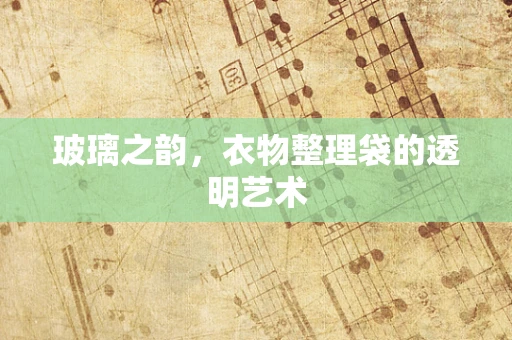 玻璃之韵，衣物整理袋的透明艺术
