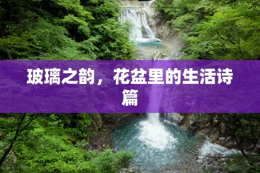 玻璃之韵，花盆里的生活诗篇