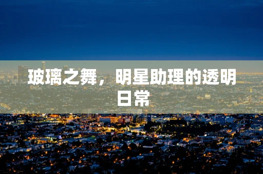 玻璃之舞，明星助理的透明日常