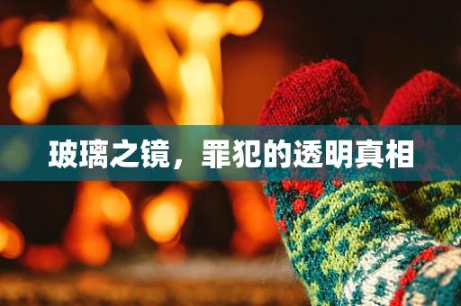 玻璃之镜，罪犯的透明真相