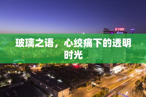 玻璃之语，心绞痛下的透明时光