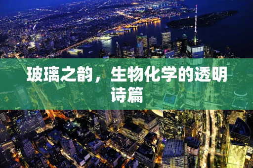 玻璃之韵，生物化学的透明诗篇